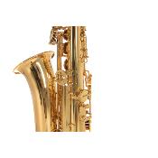 Roy Benson AS-201 - Saxophone Alto Mib pour enfant Student Series