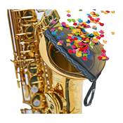 BG ACSA - Filtre anti-confettis pour saxophone alto