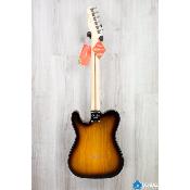 Fender American Professional Telecaster Maple Fingerboard, 2-Color Sunburst