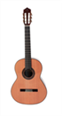 Guitare classique Prodipe Soloist 900R 4/4