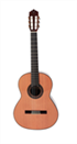 --- DISCONTINUE ---Guitare classique Prodipe Soloist 900R 4/4