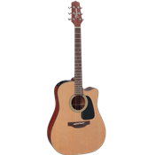 Takamine P1DC