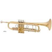 --- DISCONTINUE ---MTP x-8 -trompette Sib vernie