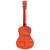 Cordoba 15CFM Rose Red