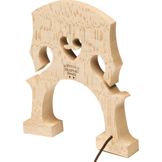 Fishman PRO-C20-0CE - c-200 série concert