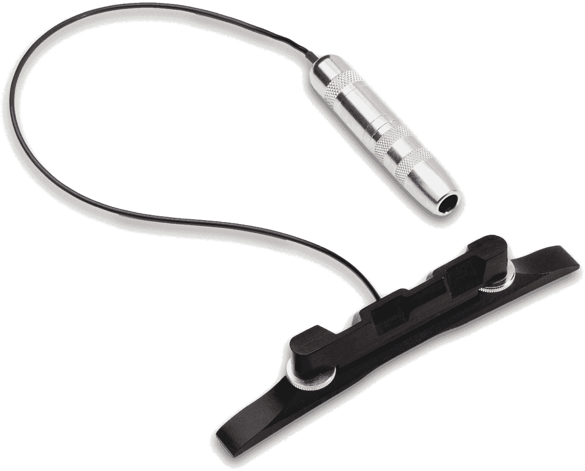 Fishman PRO-M10-0MA - m-100 série classic