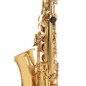 Roy Benson AS-201 - Saxophone Alto Mib pour enfant Student Series