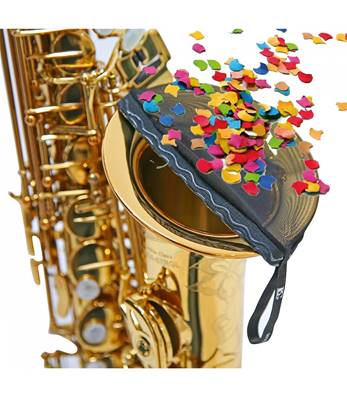 BG ACSA - Filtre anti-confettis pour saxophone alto