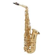 Selmer AXOS - saxophone alto avec étui et bec Selmer S80-C* complet