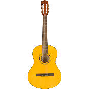 Fender ESC80 Educational Series NS WN