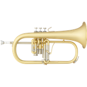 B&S ELABORATION 3148 - Bugle professionnel Jazz brossé