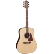 Takamine GD93-NAT