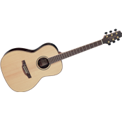 Takamine GY93E-NAT