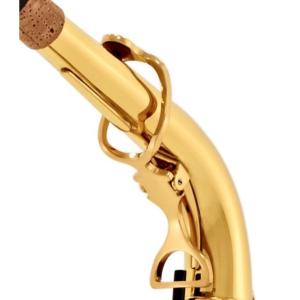 Yanagisawa AW1 - Bocal saxophone alto - Laiton verni