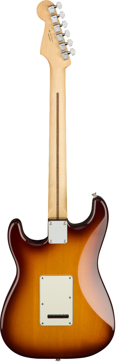 Fender Stratocaster Mexicaine Player Plus Top Tobacco Sunburst touche Pao ferro