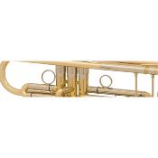 --- DISCONTINUE ---MTP x-8 -trompette Sib vernie