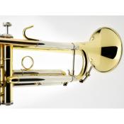 B&S PRODIGE BS210-1 - Trompette Sib, branche standard - vernie