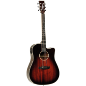 Tanglewood Winterleaf TW5 E AVB