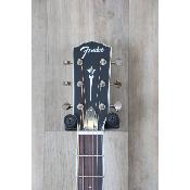 Resonator Fender PR-180 E