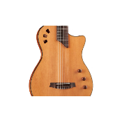 CORDOBA Stage Guitar Traditional CD