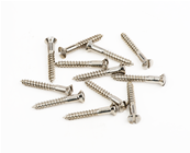Pure Vintage Slotted Telecaster Bridge/Strap Button Mounting Screws, Nickel (12)