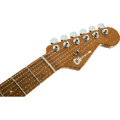 Guitare électrique Charvel Pro-Mod DK24 HH 2PT CM MBF