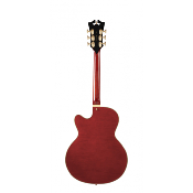 D'ANGELICO Excel 59 Viola