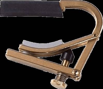 Shubb C8B - capo partiel 5 cordes