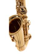 Roy Benson AS-302 - Saxophone Alto