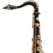 Selmer Super Action 80 série II noir gravé - Saxophone ténor professionnel avec étui et bec complet