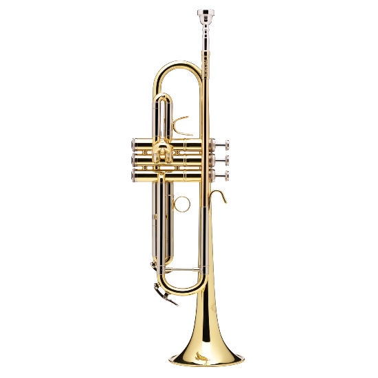 B&S PRODIGE BS210-1 - Trompette Sib, branche standard - vernie