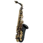 Roy Benson AS-202K - Saxophone Alto Mib Student Series