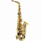 SML Paris VA-2000 VENDOME - Saxophone Alto verni