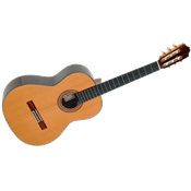 Cuenca 110 - cèdre massif-palissandre indien