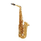 Selmer Signature brossé gravé - Saxophone alto professionnel avec étui et bec complet