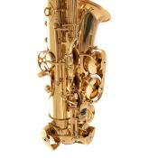 Roy Benson AS-302 - Saxophone Alto
