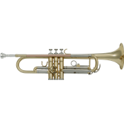 SML Paris TP300 - Trompette Sib avec étui et embouchure SML