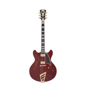 D'ANGELICO Excel DC Viola