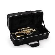 COURTOIS BELLECOUR - Cornet Sib verni