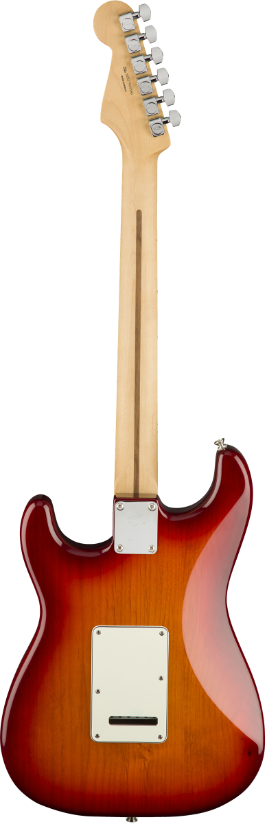 Fender Stratocaster Mexicaine Player Plus Top Antique Cherry Burst touche érable