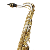 Yanagisawa T-WO37 ELITE - Saxophone Ténor - Bocal, tube, culasse et pavillon argent massif