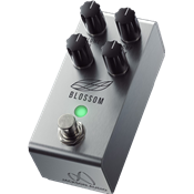 Jackson Audio Blossom