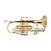 COURTOIS BELLECOUR - Cornet Sib verni