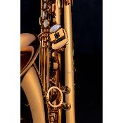 Selmer SUPREME - Saxophone tenor Brossé Gravé avec étui et accessoires