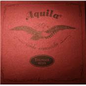 Aquila 91U - jeu ukulele basse gdae