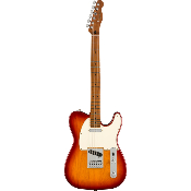 Fender Telecaster Player Sienna Sunburst Roasted Maple Neck Edition Limitée - guitare electrique