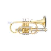 COURTOIS BELLECOUR - Cornet Sib verni