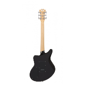 D'ANGELICO Premier Bedford Blake Flake