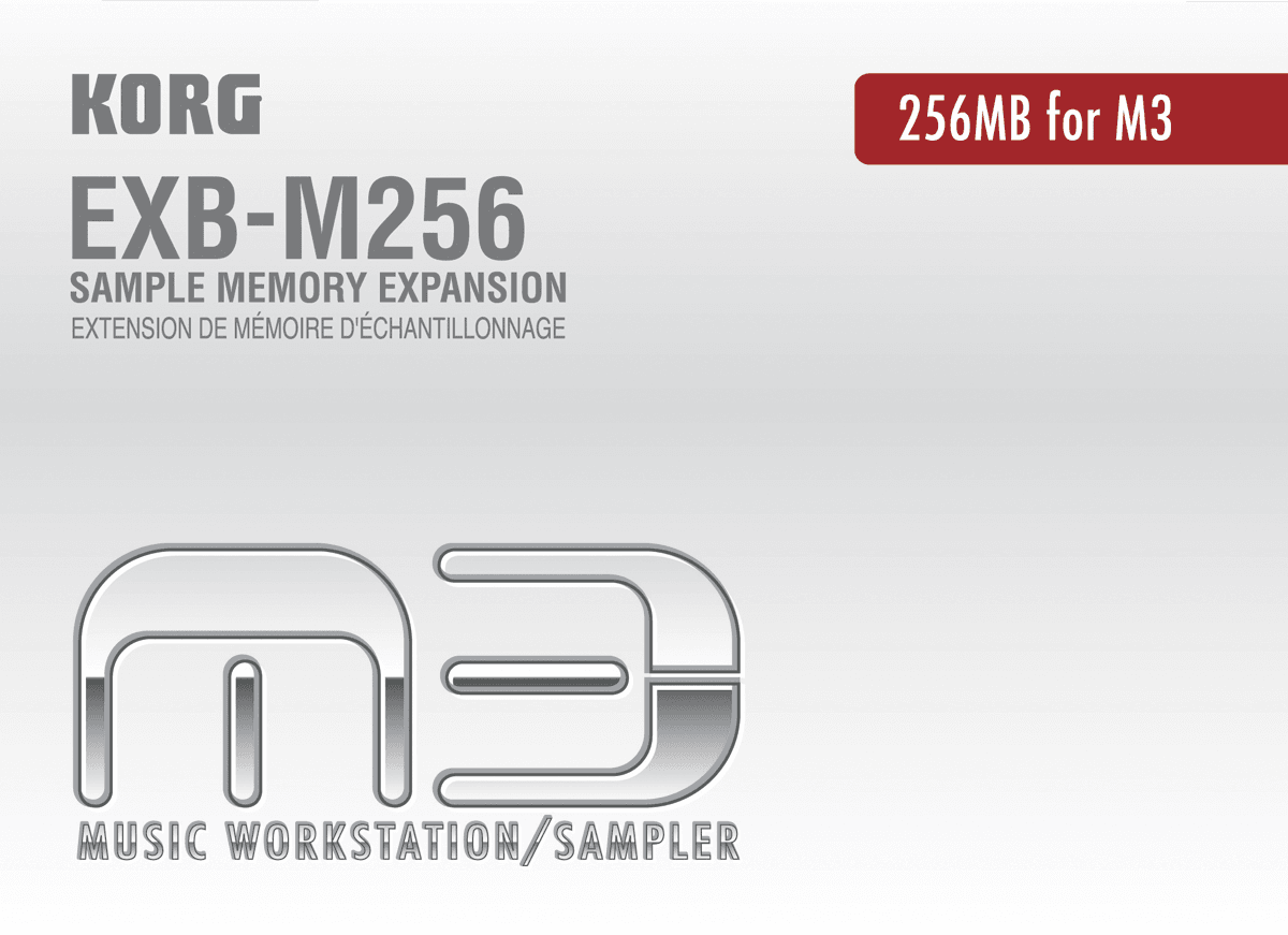 Korg EXB-M256 - memoire de 256mo pr serie m