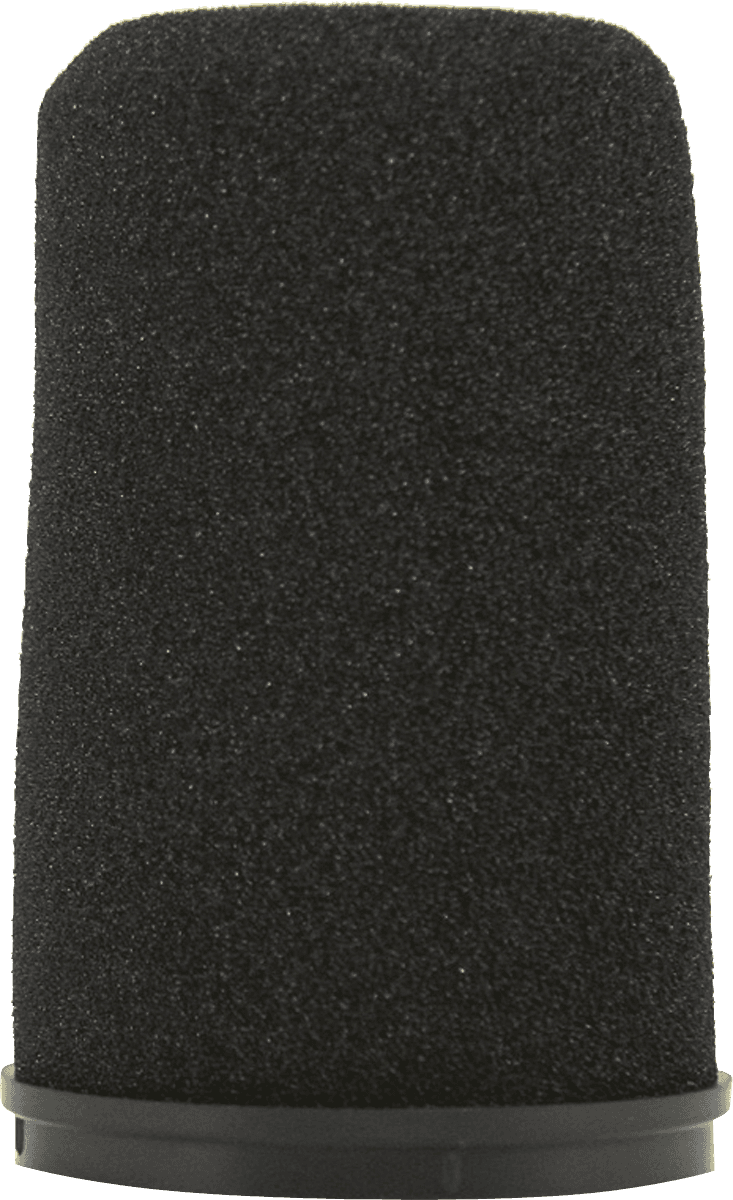 --- DISCONTINUE ---Shure RK345 - bonnette standard sm7b